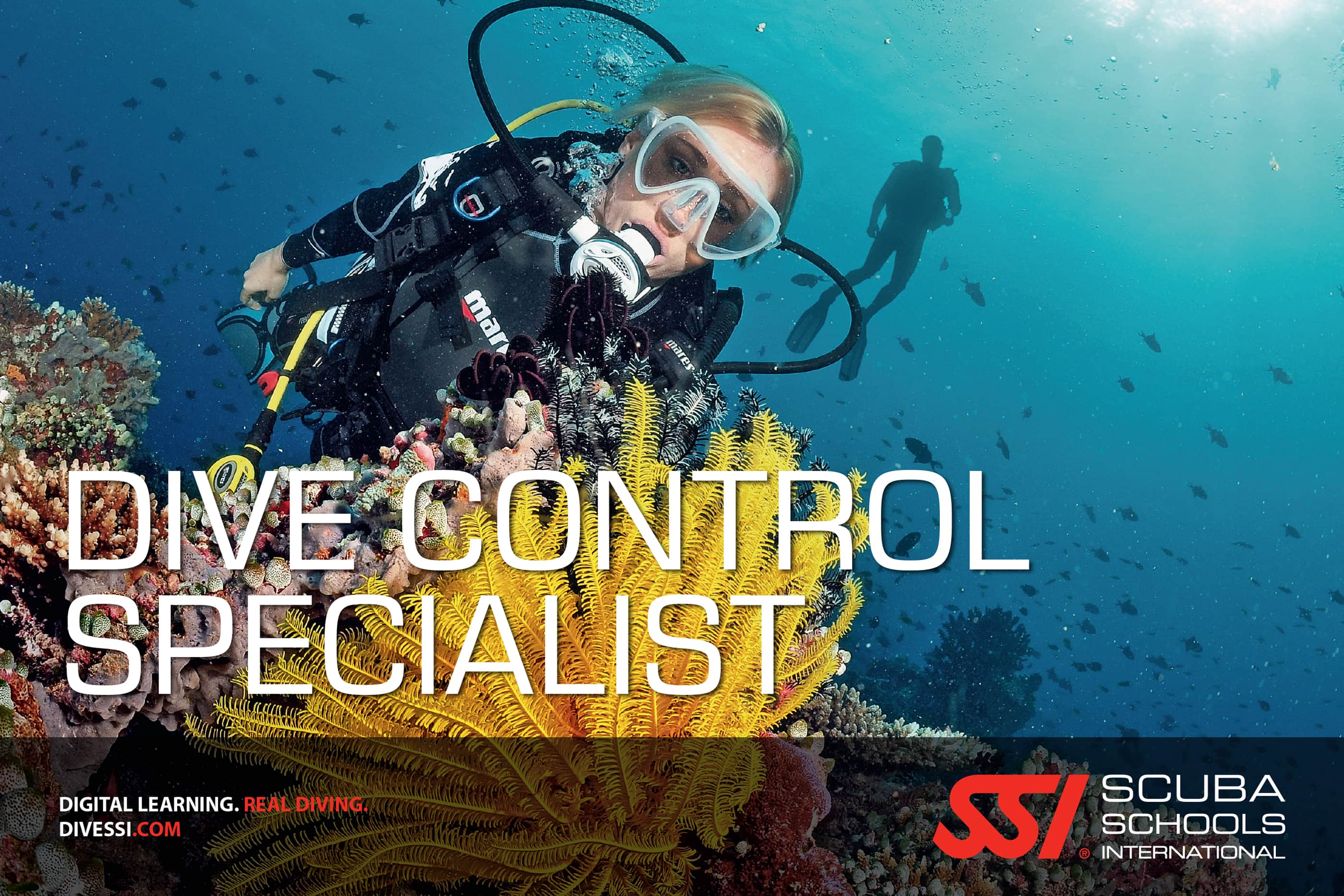 Les Formations Professionnelles SSI Dive Factory